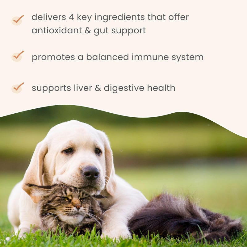 Dr. Mercola Bark & Whiskers Immune Support, 3.5 Oz. (102 g), 60 Scoops, Supports Liver & Digestive Health, Veterinarian Formulated, Non-GMO, Dr. Mercola - Image 5